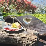 Spacious Langhe Vacation Family House With Large Garden - Nocciolina * Bossolasco