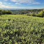 Spacious Langhe Vacation Family House With Large Garden - Nocciolina * Bossolasco